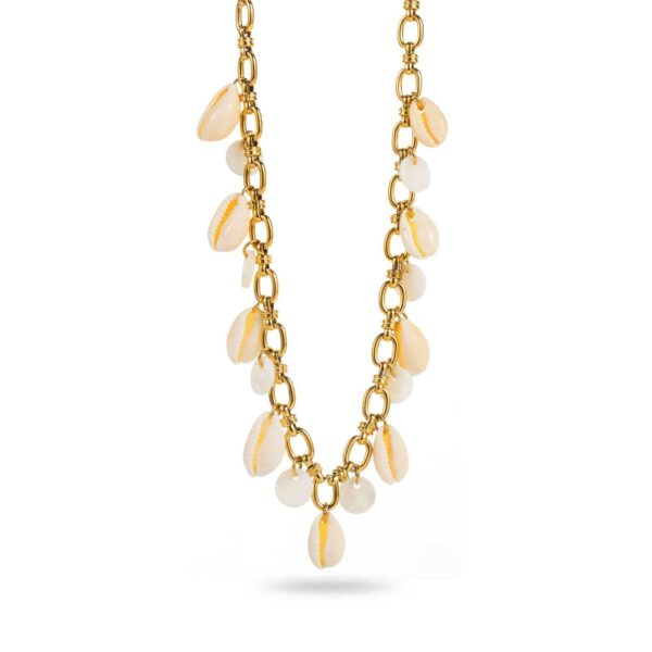 Collier naira – Image 2