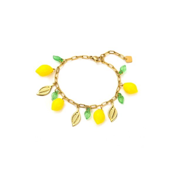 Bracelet rafa